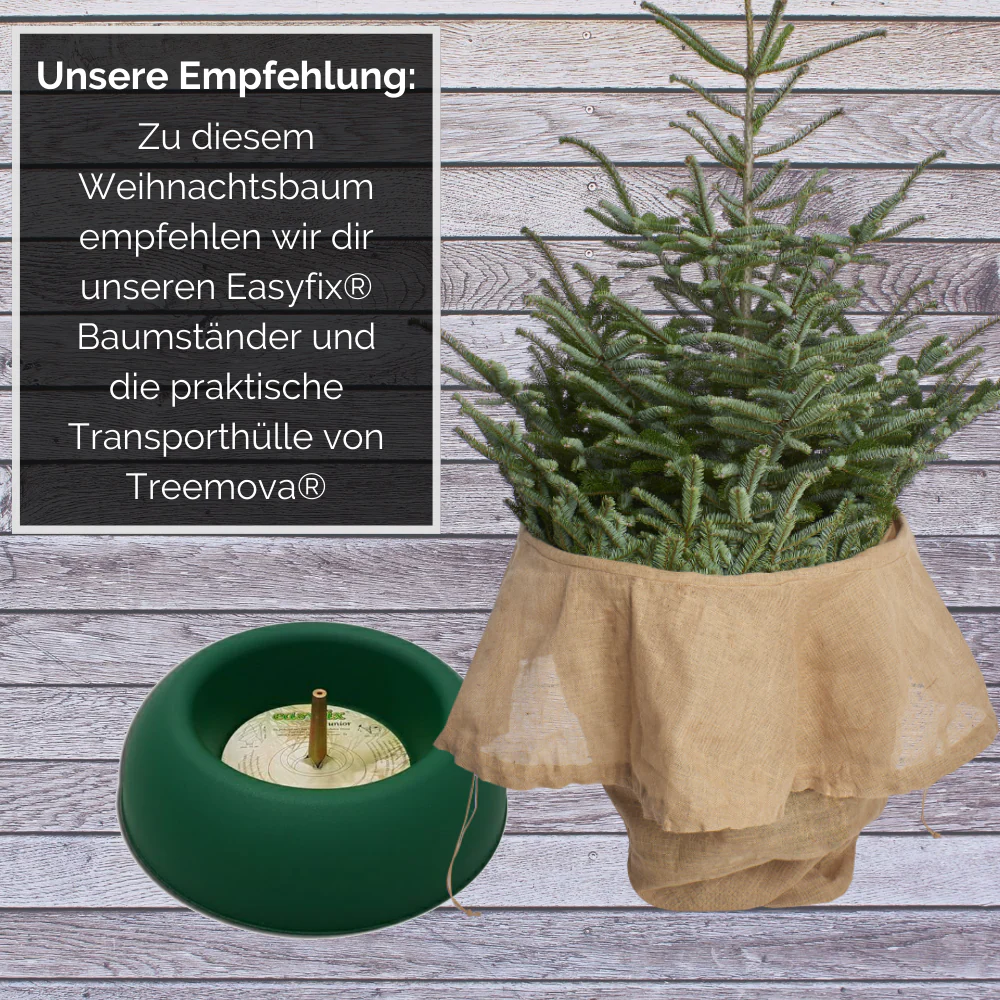 Vorschaubild 5