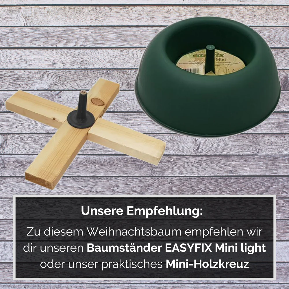 Vorschaubild 5
