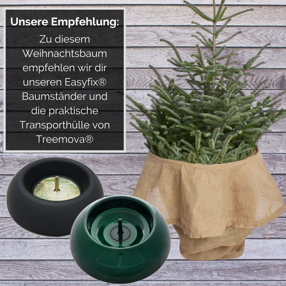Vorschaubild 5