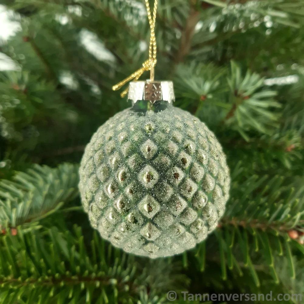 Vorschaubild 5
